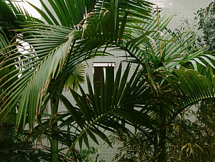 B5 Boutique Hotel Lugano Breakfast